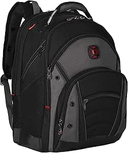 Victorinox Synergy 16in Laptop Backpack